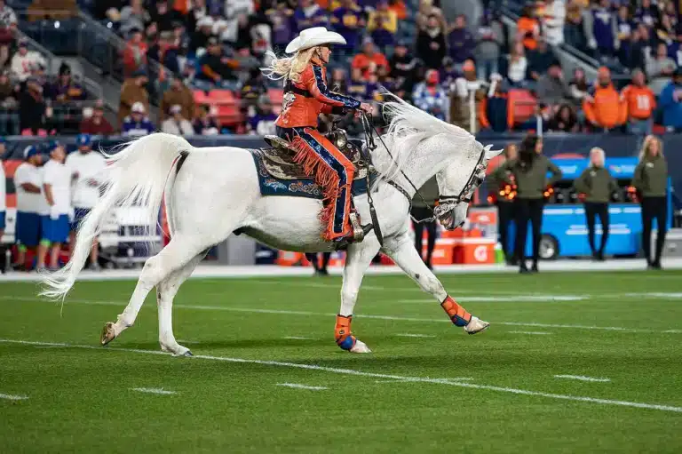 A rider carries a flag on a white horse galloping across the field at the Denver Broncos stadium.